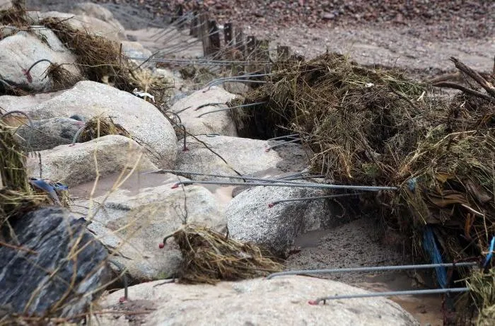 Stream competency Image